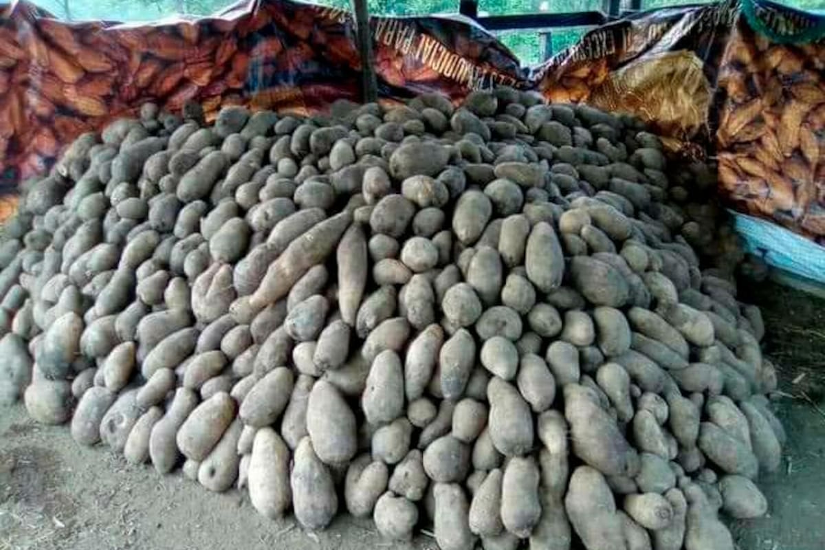 Jóvenes de San Cayetano abogan por sus agricultores