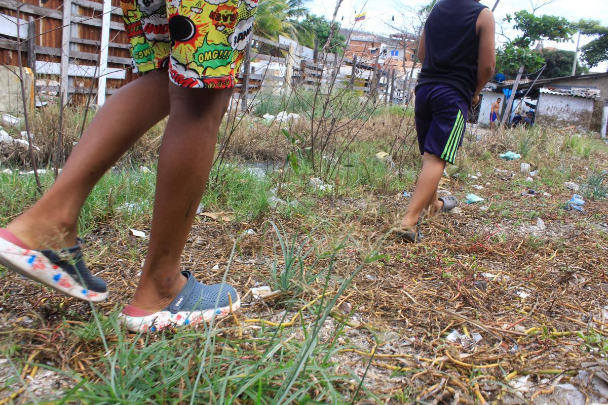 Este año no se han registrado muertes por dengue en Cartagena