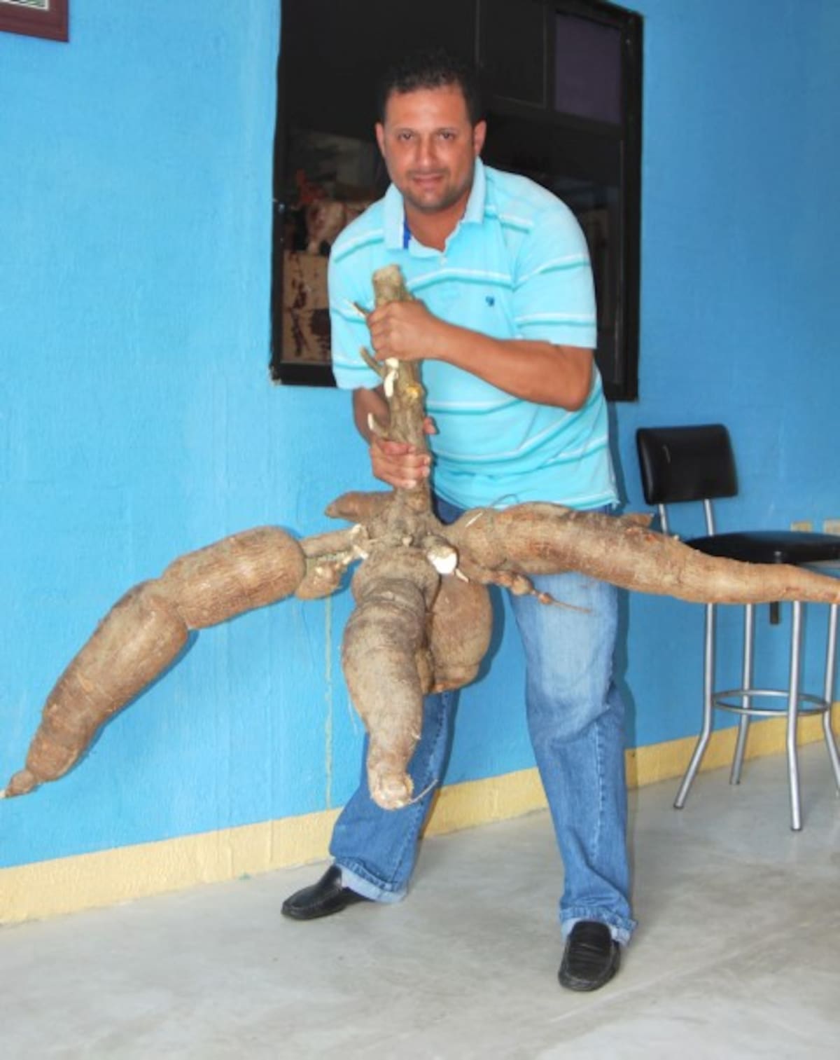 El gigantesco tubérculo con apariencia de pulpo fue recibido como una bendición de la madre tierra.