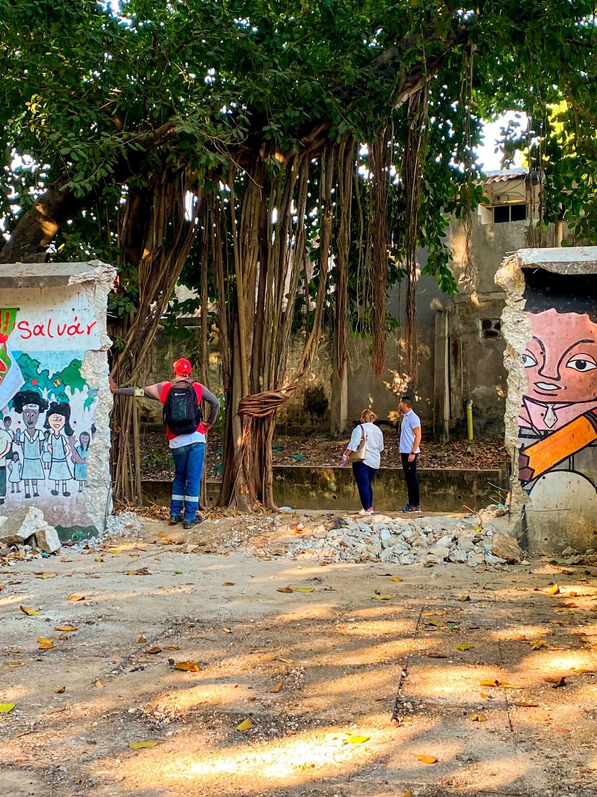 En el INEM hay más de 100 árboles, de los cuales muchos están en riesgo. //Fotos: Cortesía