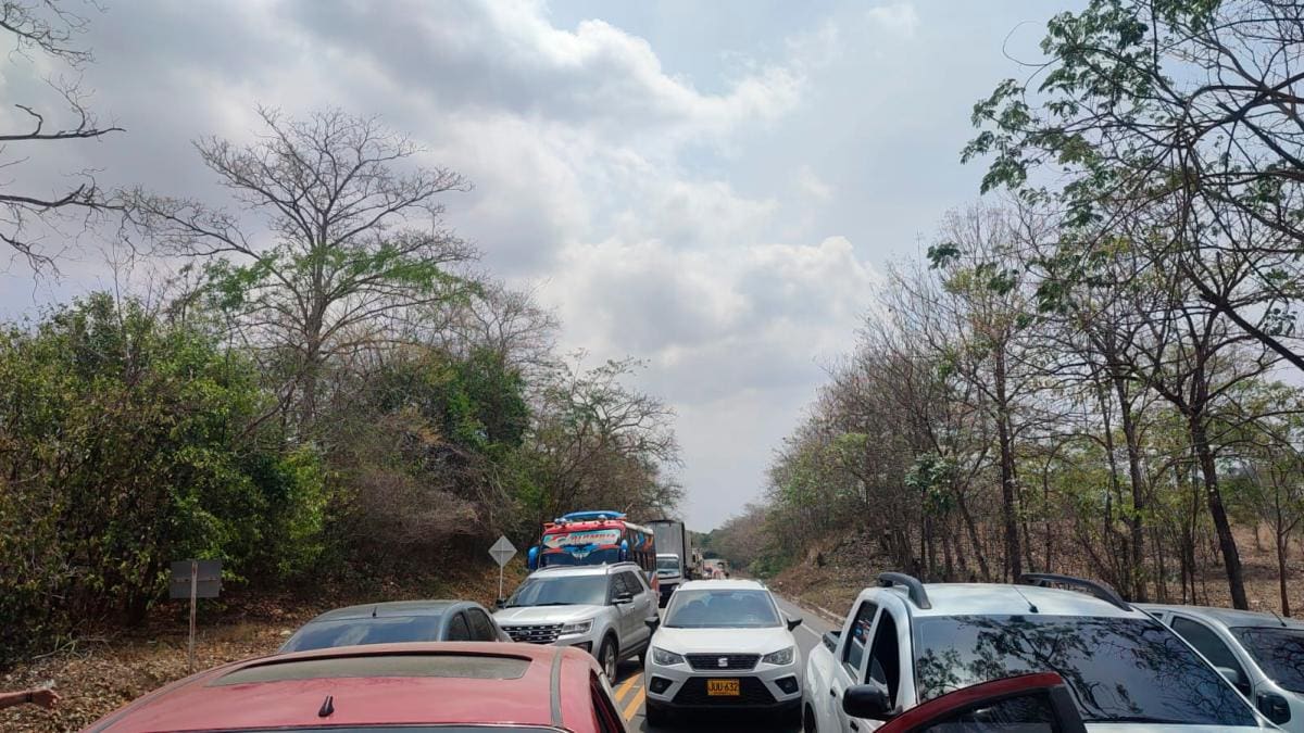 La manifestación mantiene paralizada la movilidad en esta zona de la vía La Cordialidad. //Fotos: Cortesía