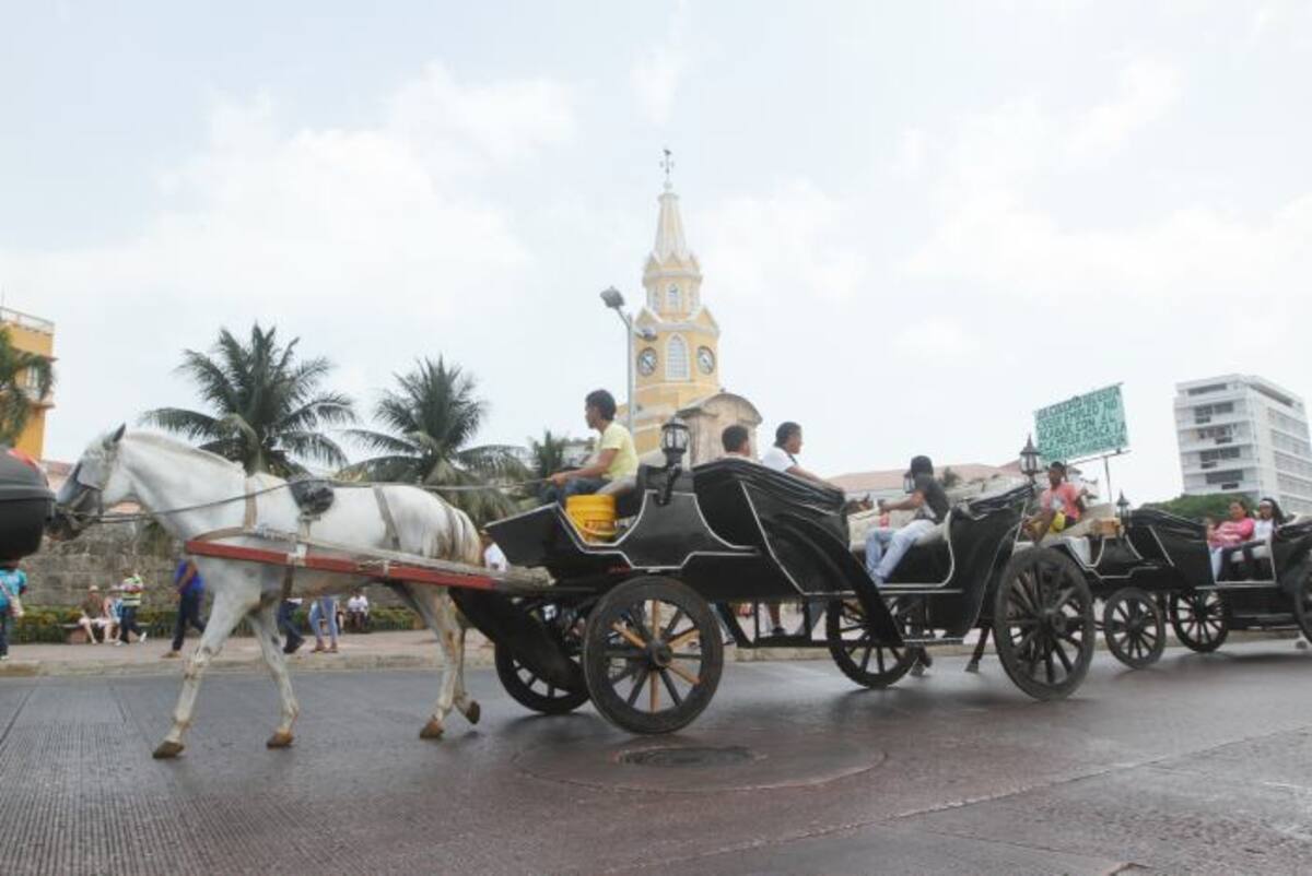 En los últimos días se ha cuestionado el servicio de coches por los maltratos de que han sido víctimas los caballos. ARCHIVO