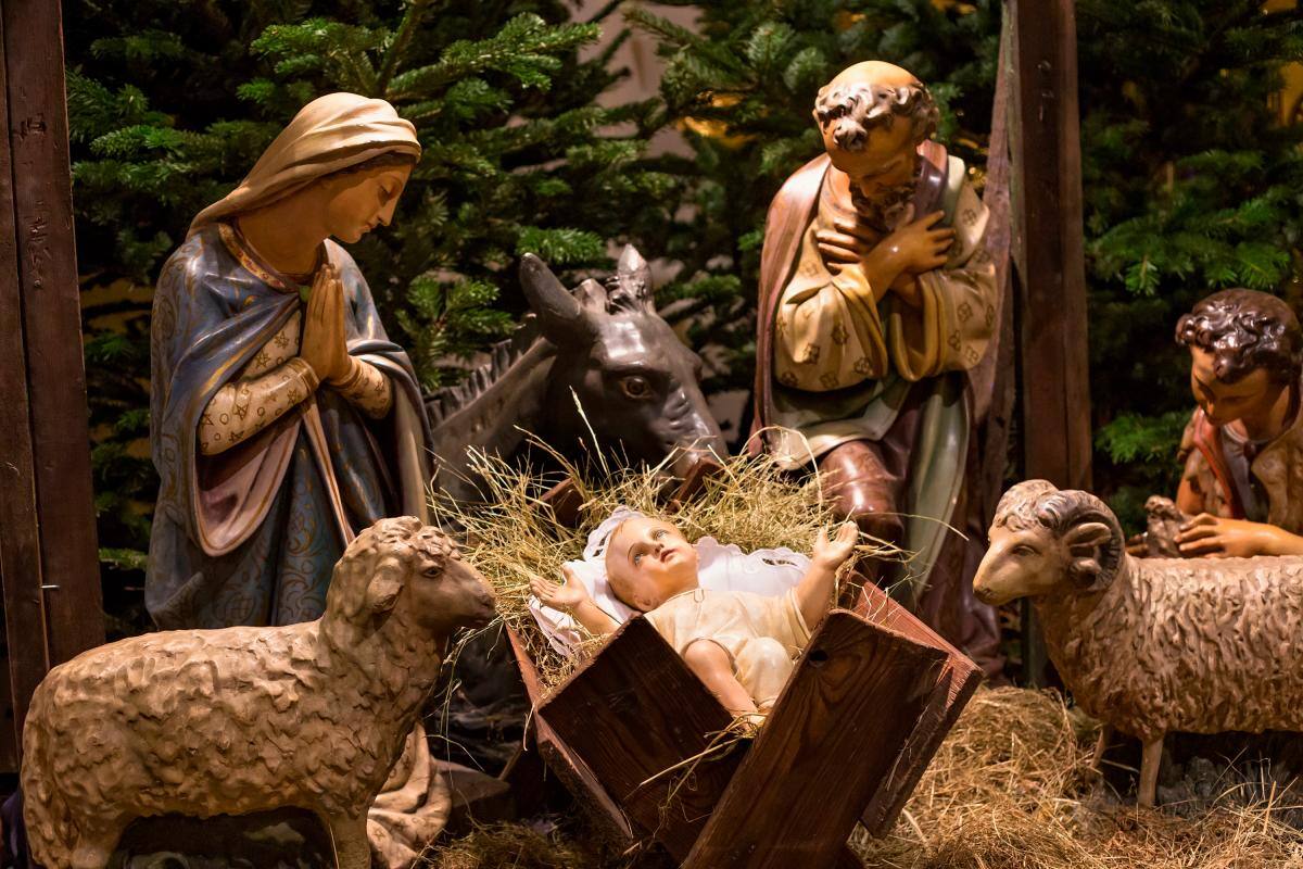 El pesebre: lección de vida