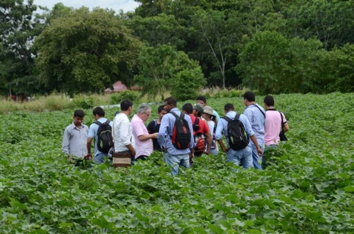 Visita de docentes de Unicórdoba a Agro Stevia México.