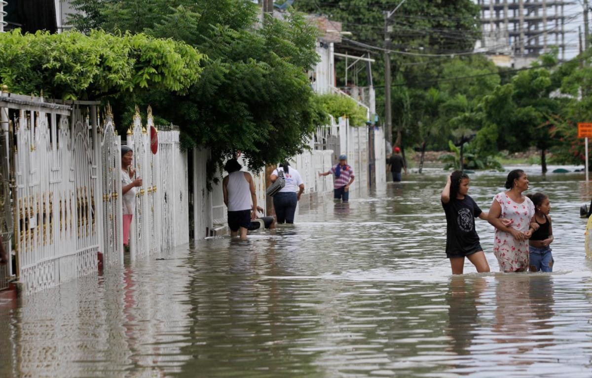 Otra imagen de Las Palmeras