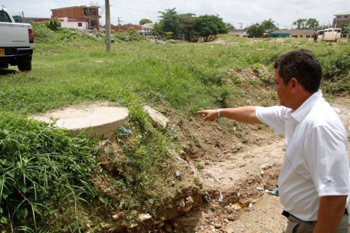 Señalan los moradores que al manjol le hacen falta unos dos lluvias para que pierda la po-ca tierra que lo sostiene y se derrumbe. FOTOS OSCAR DÍAZ-EL UNIVERSAL.