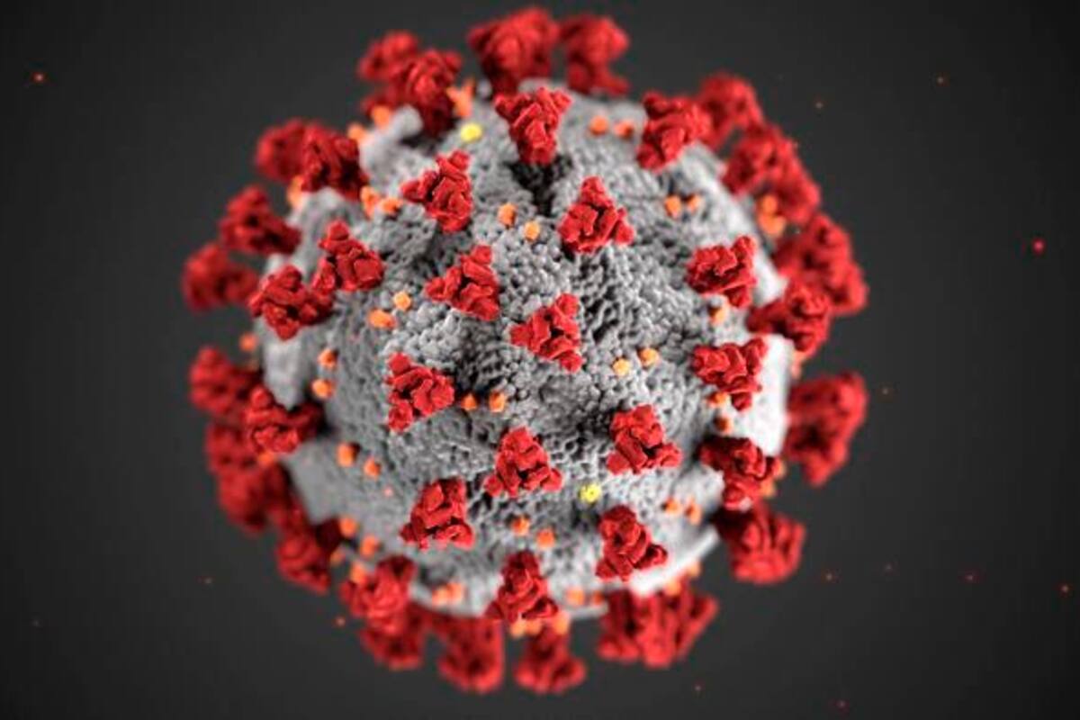 Rusos dicen que descifraron genoma del nuevo coronavirus