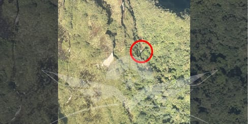 Accidente aéreo en Chocó: recuperan cuerpos de cuatro médicas