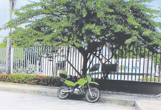 “¿Quién nos cuida?”: lo que dicen las víctimas de abuso policial