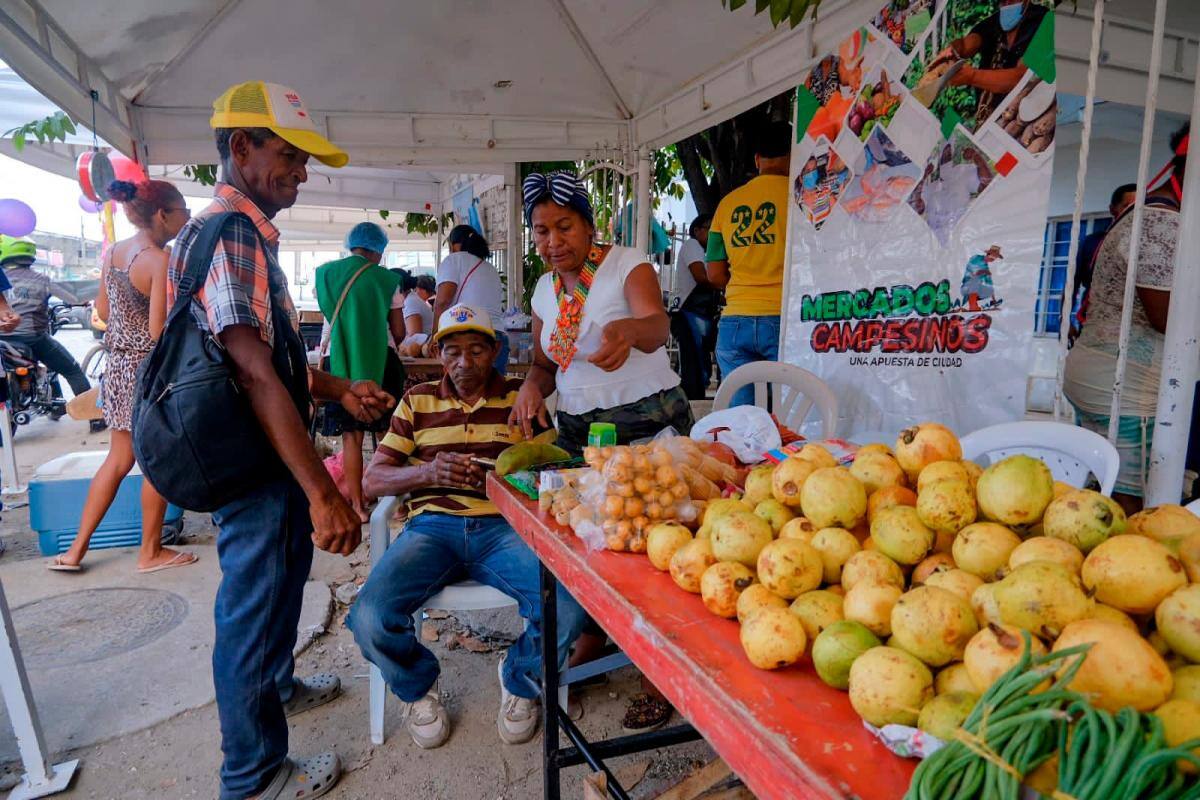 Mercado campesino en Santa Ana. // Foto: Cortesía