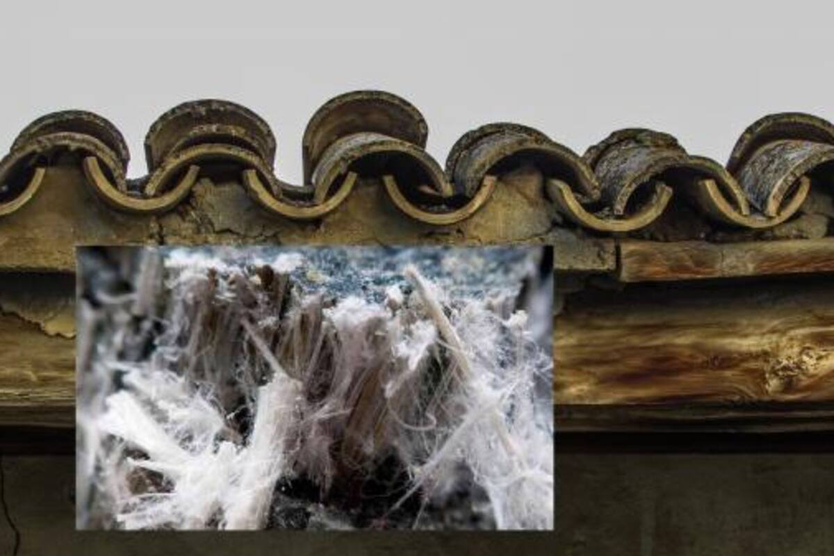 La Cámara tendrá que decidir en marzo sobre uso del asbesto