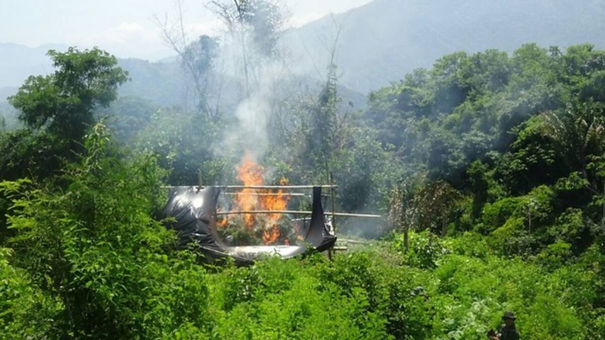La Policía Nacional, Ejército Nacional, Fuerza Aérea y Armada Nacional, desplegaron campaña antinarcóticos en Putumayo y destruyeron 27 laboratorios para el procesamiento de base y clorhidrato de cocaína que le pertenecían a la banda criminal conocida como ‘La Constru’.