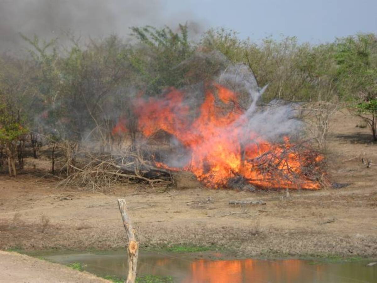 En los municipios de la Depresión Momposina es común observar en esta época del año los incendios forestales. CORTESÍA