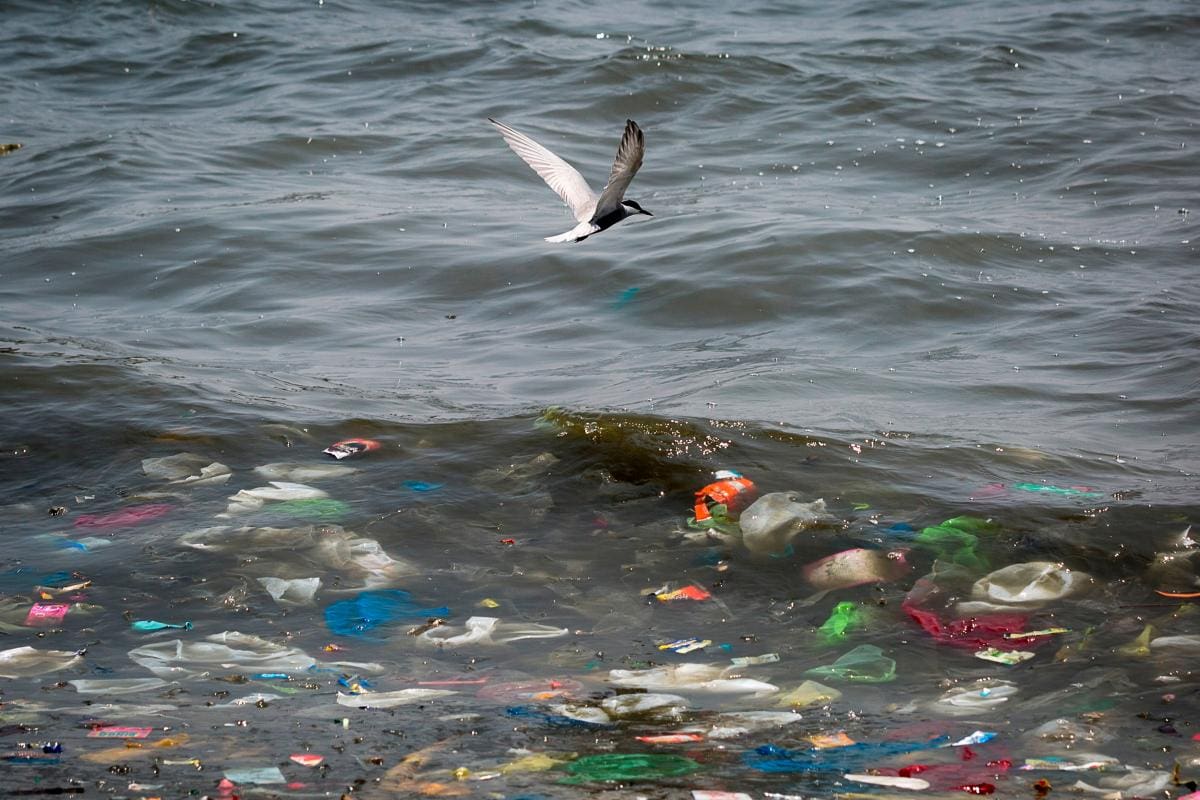 Temporada de vacaciones: los mares de plástico que alcanzan grandes olas