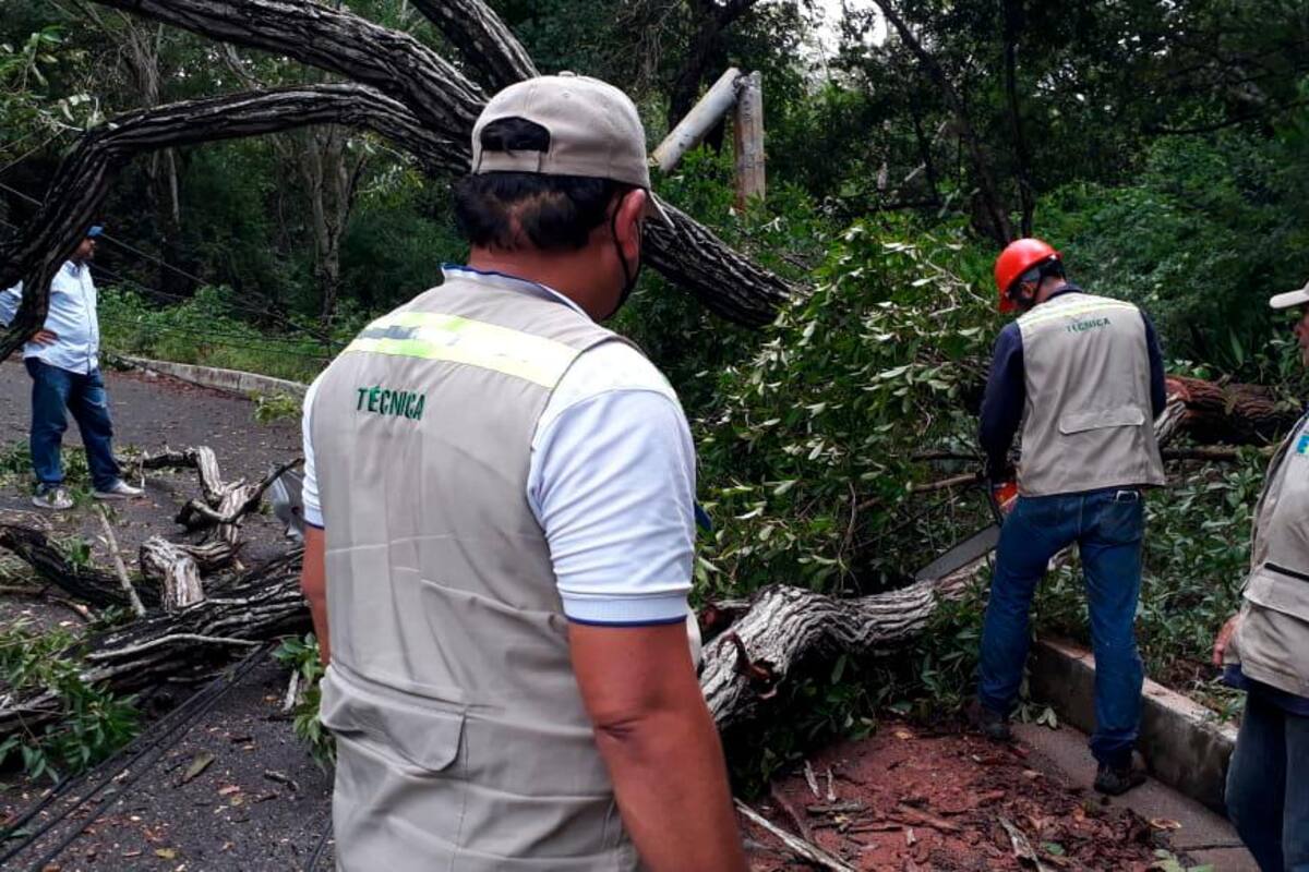 Estas fueron las emergencias que se atendieron luego de la tormenta