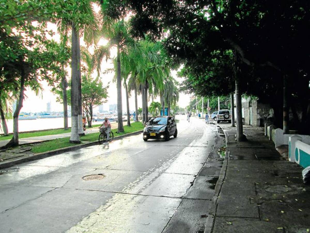 Avenida Miramar. PEDRO TORRES-GENTE BAHÍA-EL UNIVERSAL