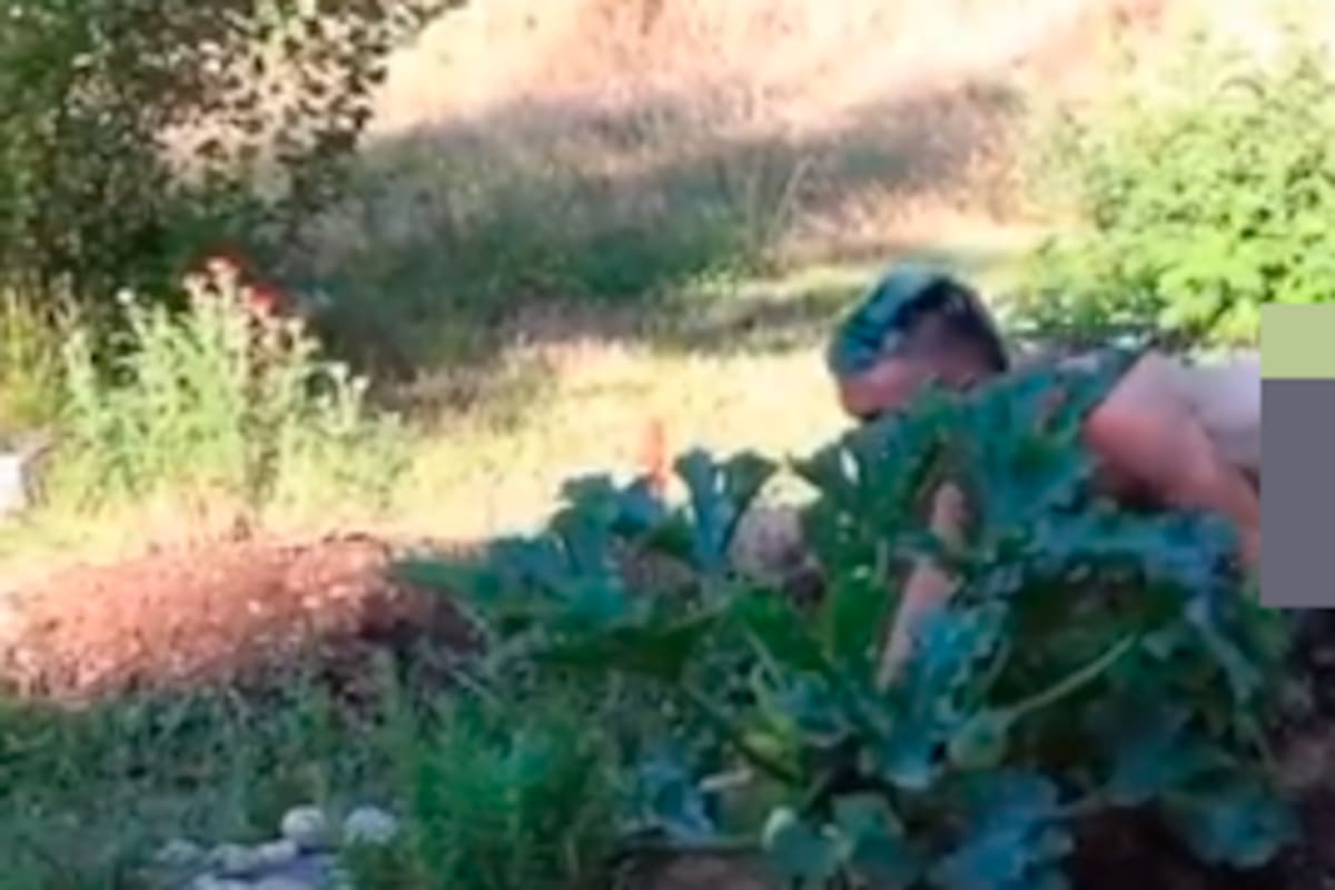 Video: “ecosexuales” tienen relaciones con plantas en público