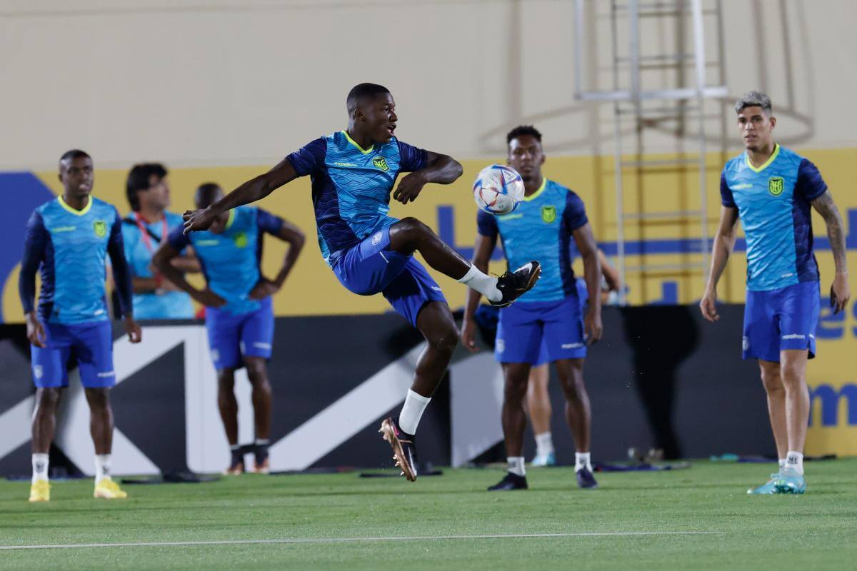 ¡No hay que madrugar! Partidos de este martes en el Mundial de Qatar