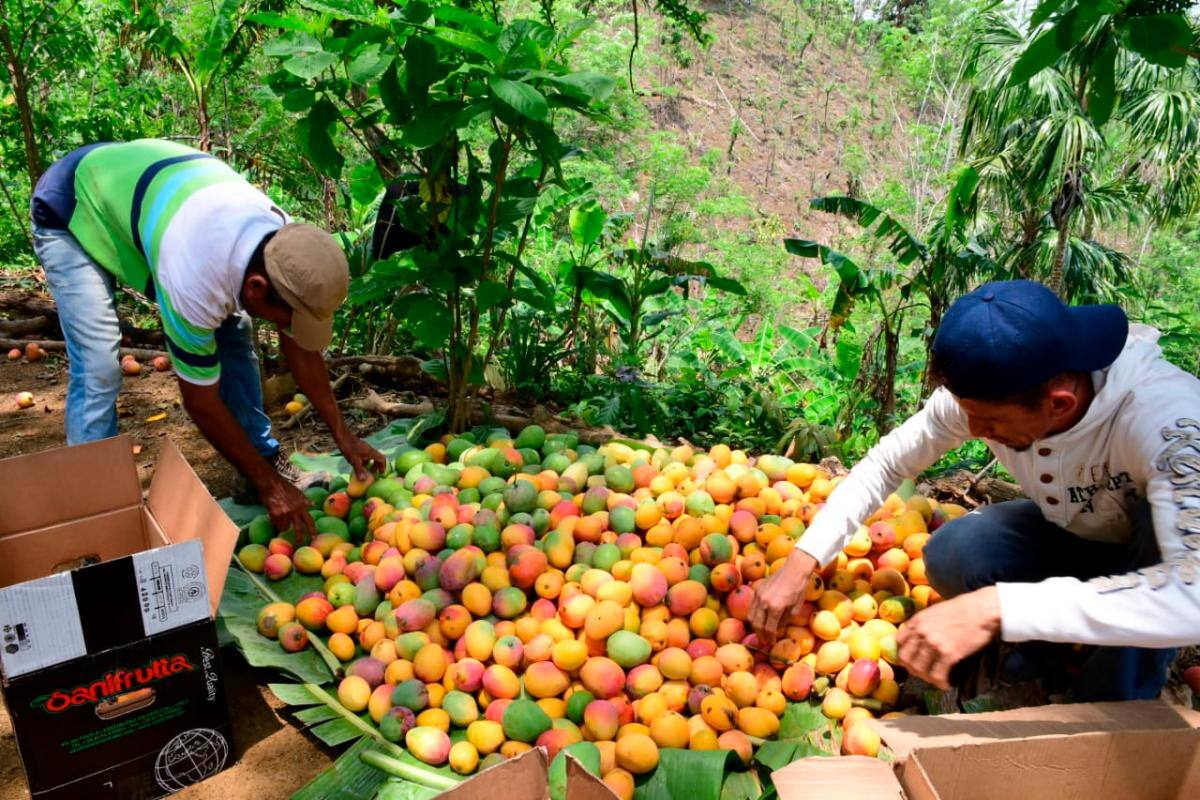 El Banco de Alimentos de la Arquidiócesis de Cartagena será el encargado de hacer la repartición.