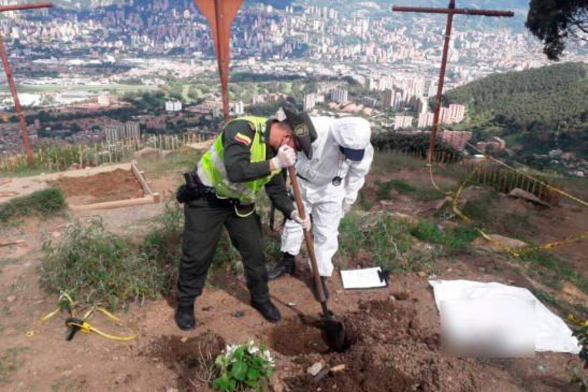 Hallan muertos a 42 gatos con signos de maltrato en Medellín