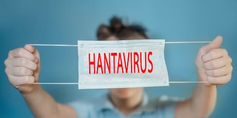 Hantavirus en crucero: 3 muertos y una nueva forma de contagio que preocupa a los expertos