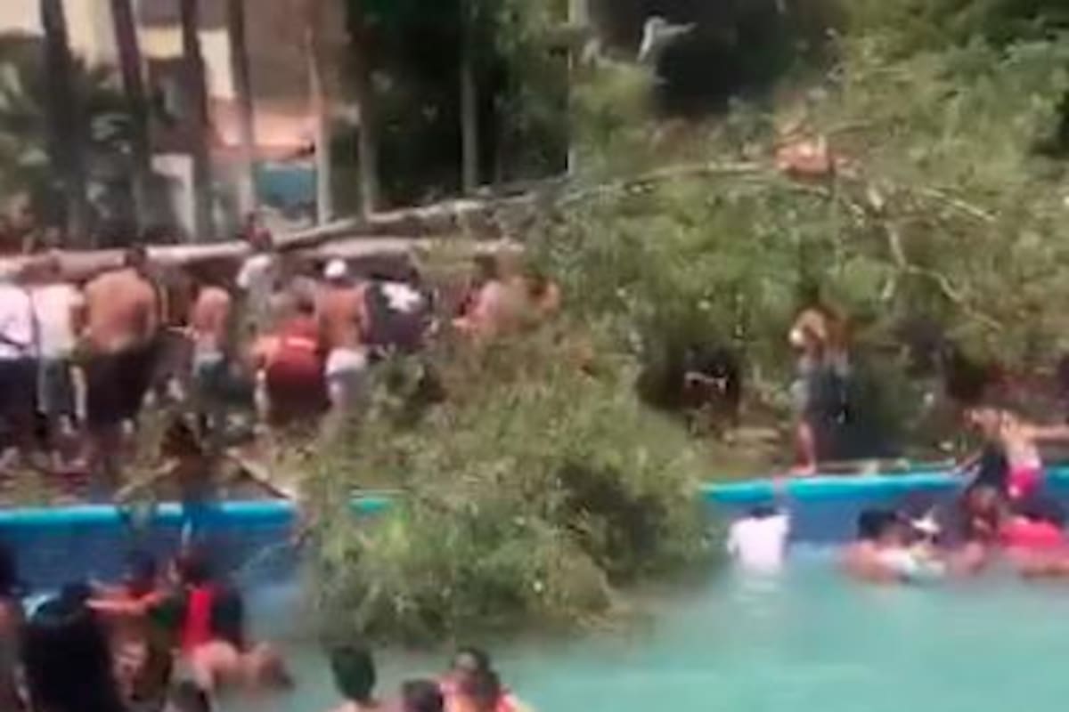 Video: árbol de 15 metros cayó sobre balneario; bebé de 11 meses murió