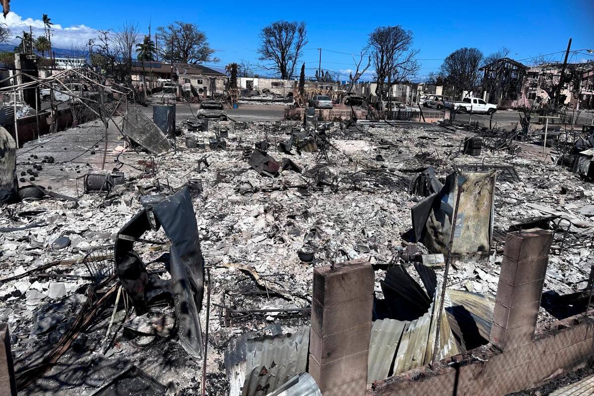 Hay 388 desaparecidos por incendios en Hawái: sigue la búsqueda
