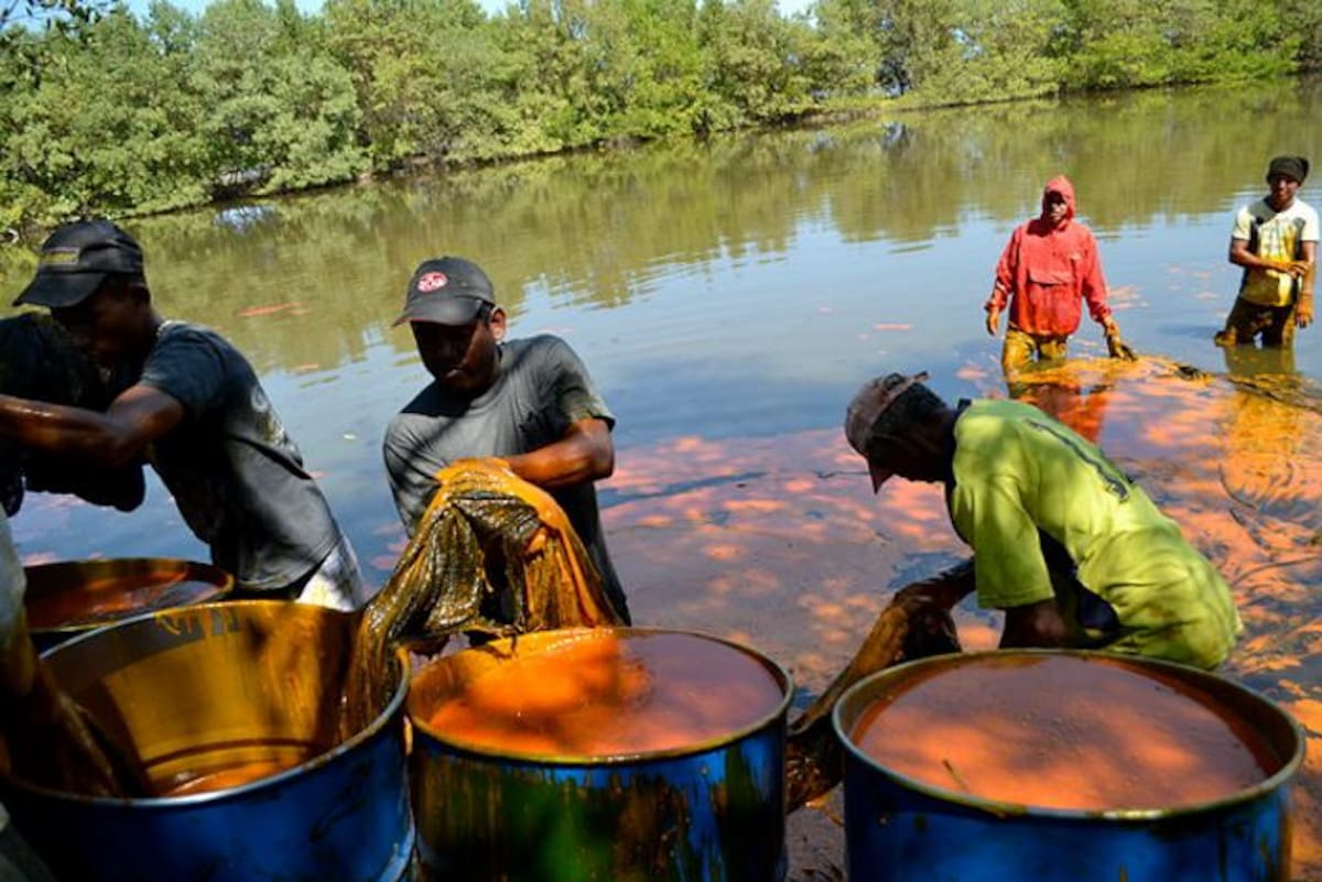 Derrame de aceite de palma en Ciénaga Grande del Madalena. COLPRENSA