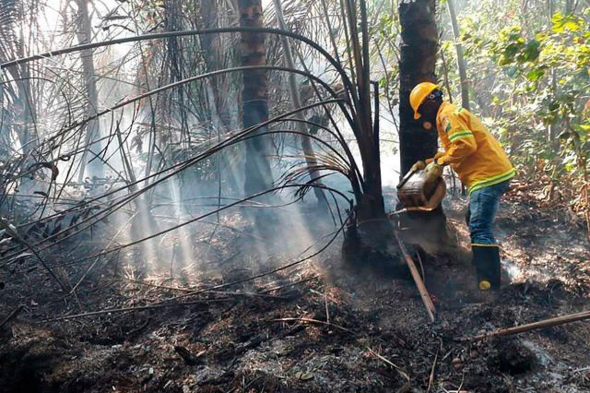 Colombia es el país con más asesinatos de líderes ambientales en el mundo