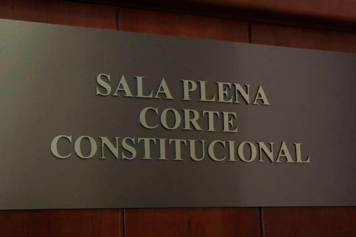 Pago en especie no exime a padres del pago de la cuota alimentaria: Corte