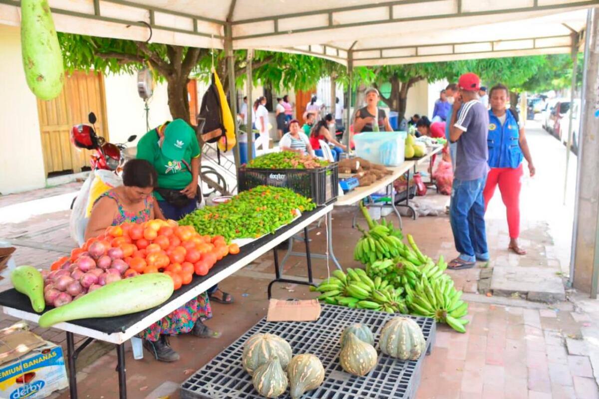 Con éxito transcurrió mercado campesino en el barrio Ciudadela 2000