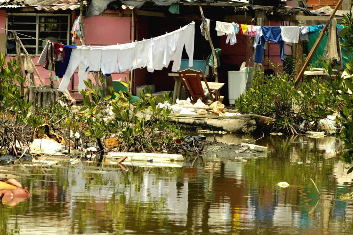 Marlinda y Villa Gloria su futuro es reubicarse y vivir en condiciones dignas, pero no se meta nadie ahí. Es zona de alto riesgo, se inundan por que viven sobre el agua. Su condición de vida cambia por que no hay peces, y no lo hay porque los que viven ahí han cortado en manglar. Foto: Viviana Cueto Ortega.