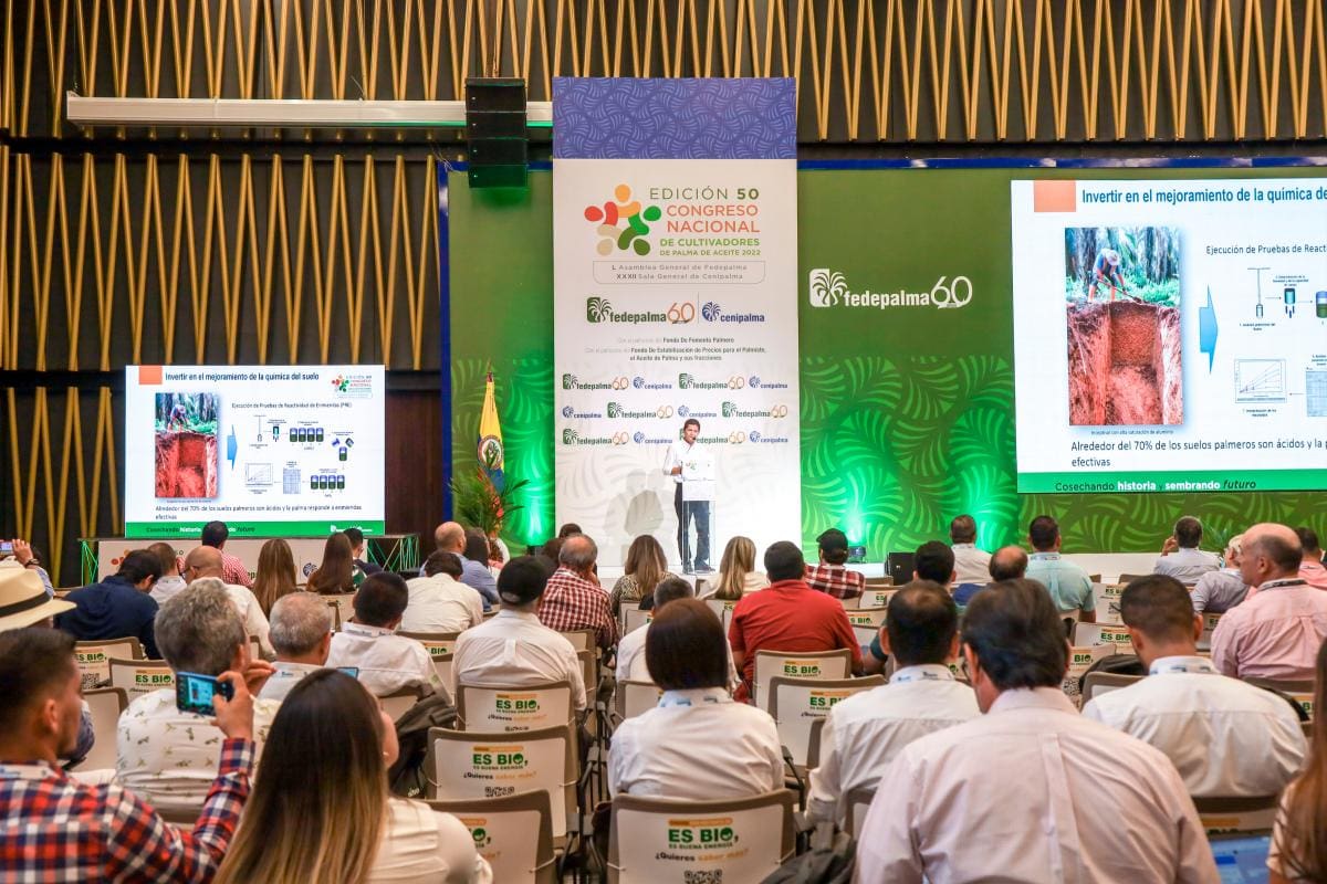 “Hay aceite para atender a todo el mundo”: Fedepalma