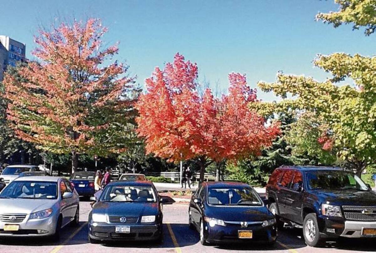 El encanto de los colores del otoño.