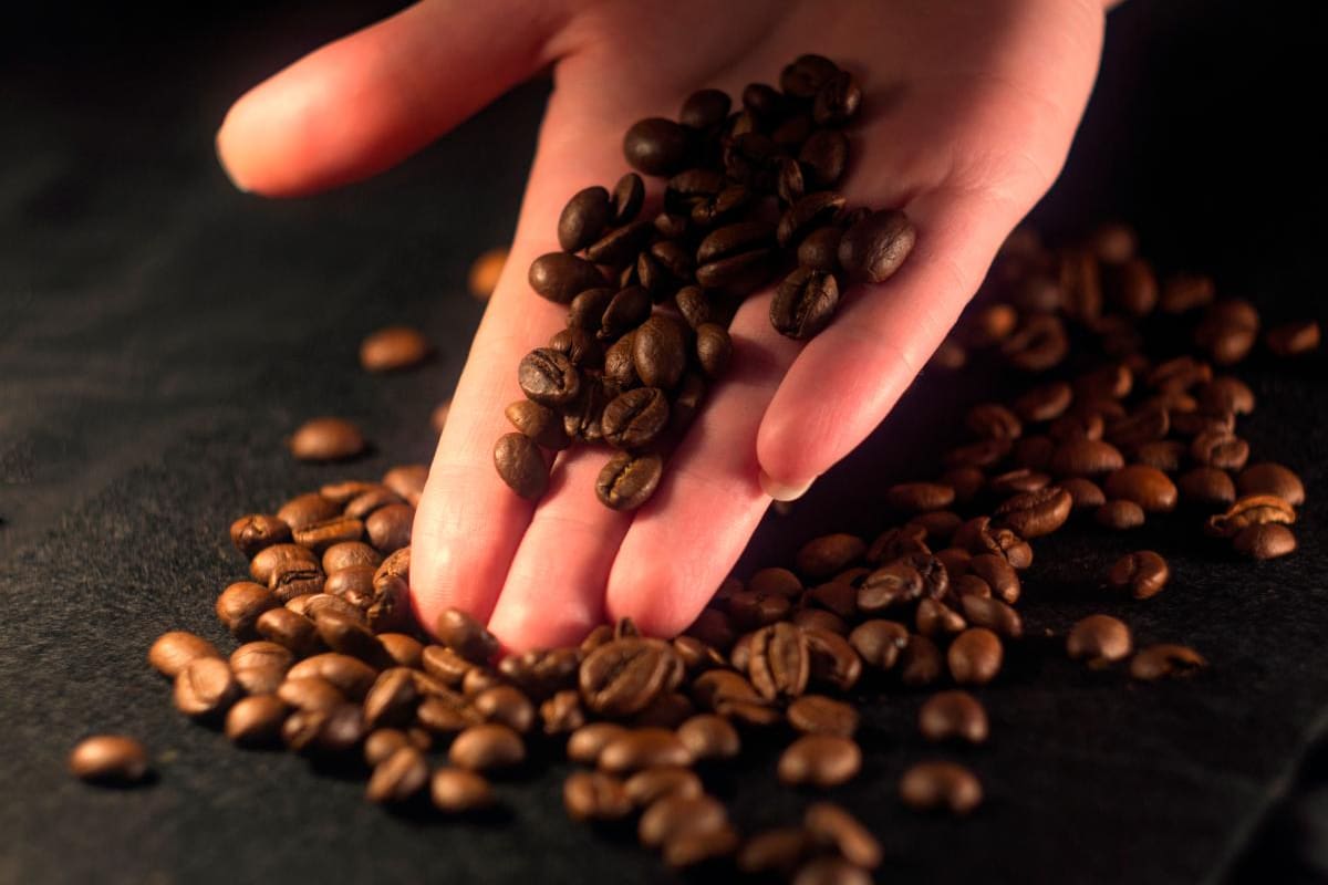 ¿Tomas café? Estos son los beneficios de su consumo y uso para la piel