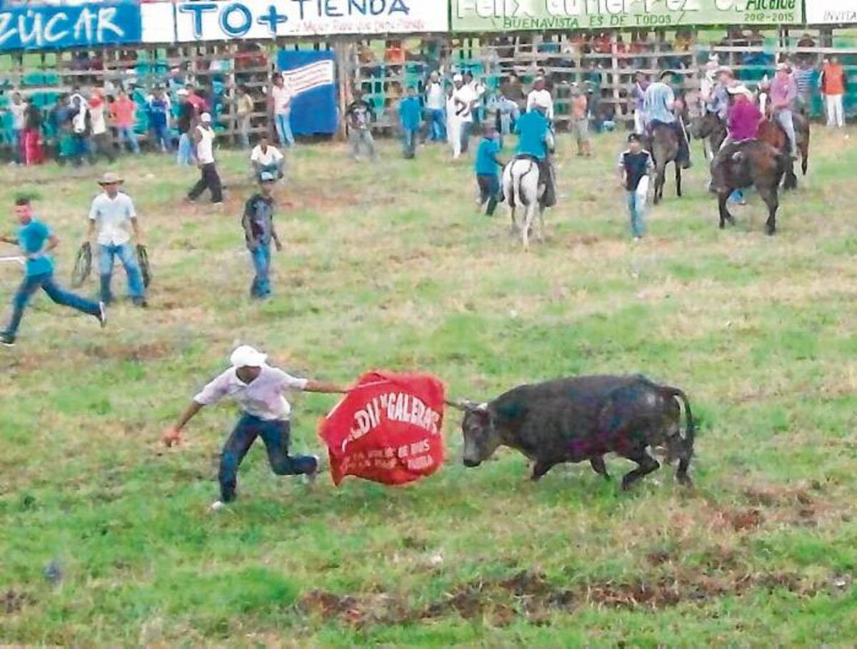 Mañana se lidiarán toros de propiedad del ganadero Manolo Carriazo.