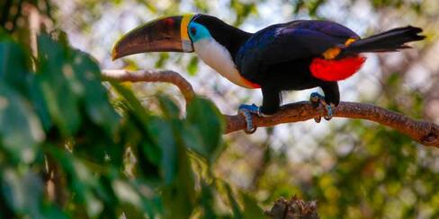 Aviario Nacional, el mejor plan para disfrutar estas vacaciones