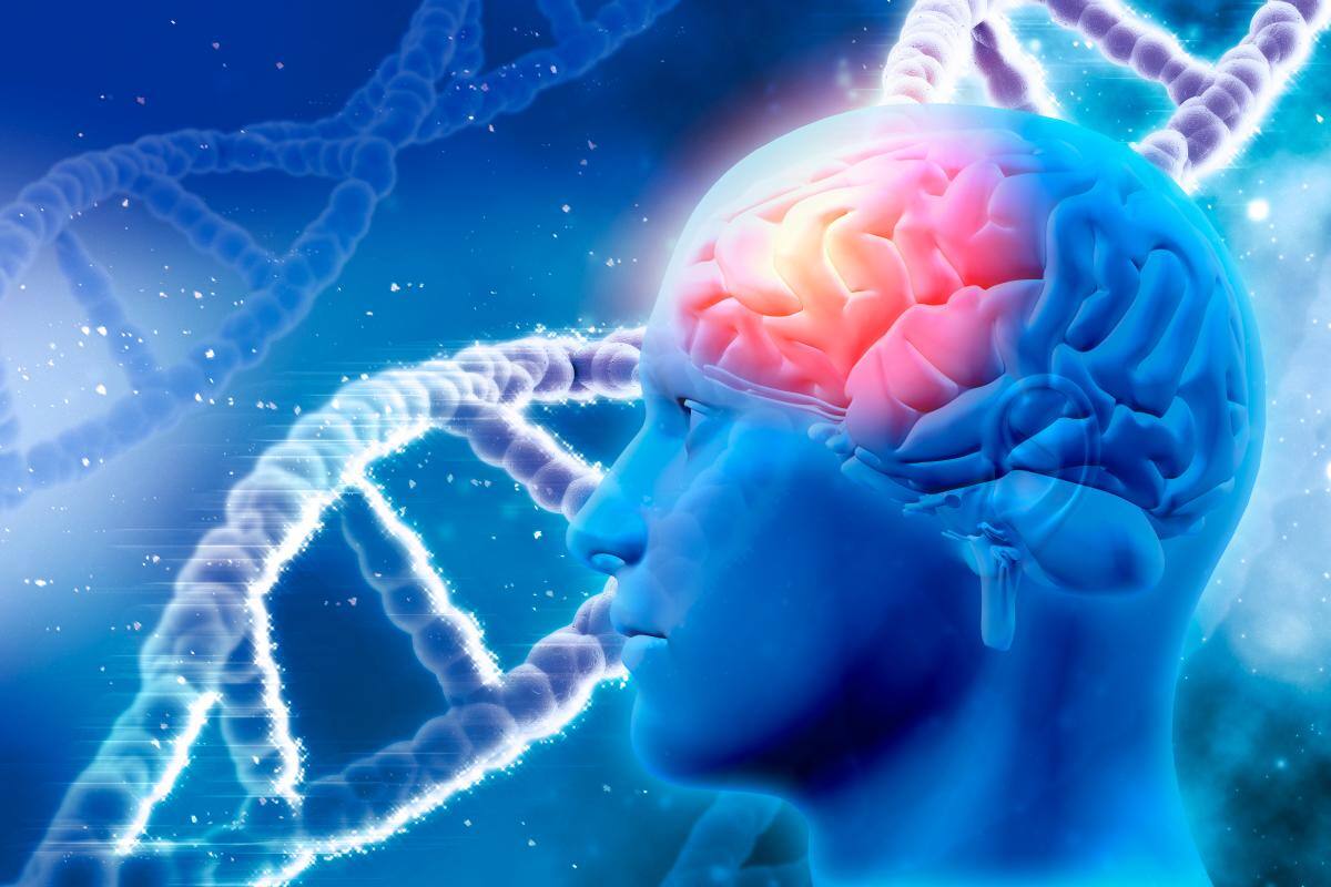 Analizan genoma de tumores cancerígenos en busca de nuevas terapias