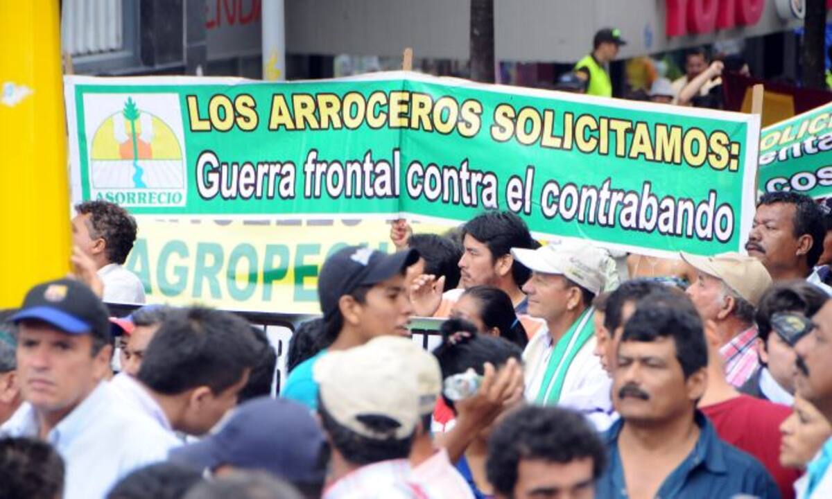 Arroceros anunciaron un nuevo paro. COLPRENSA