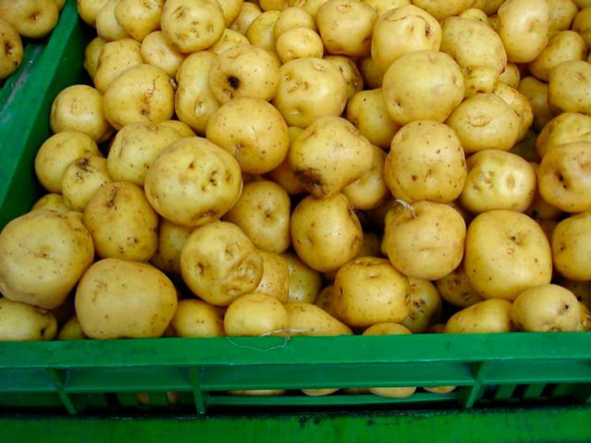 Variación: 20%