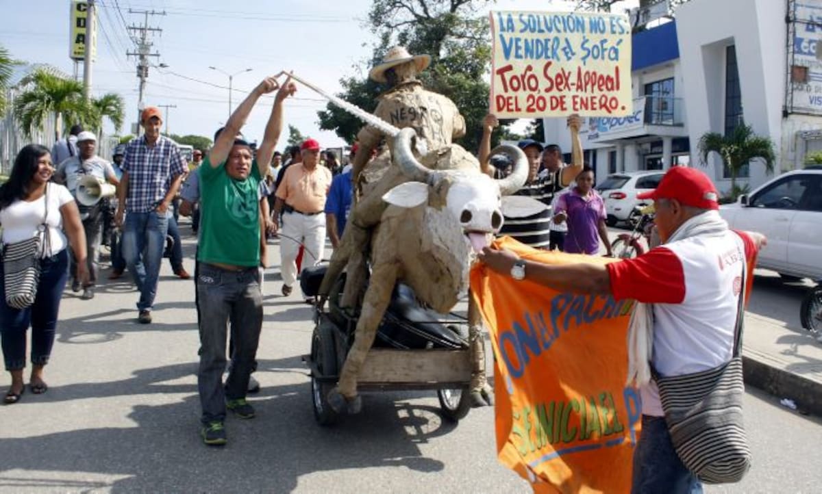 Simulando lo que se vive en la Fiesta en Corralejas, recorrieron las principales calles de Sincelejo, quienes hacen el espectáculo al interior de la Plaza de Toros. MANUEL SANTIAGO PÉREZ - EL UNIVERSAL -