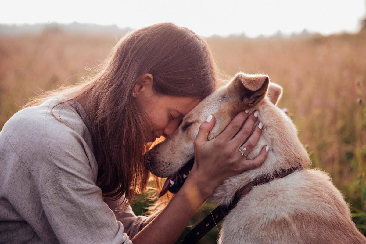 Terapias asistidas con animales: así mejoran la salud mental de los pacientes