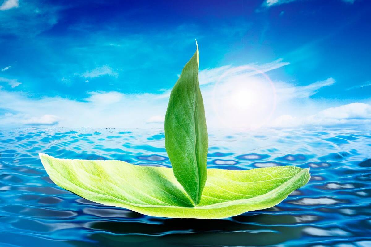 Actores del transporte marítimo cooperan en pro de la descarbonización