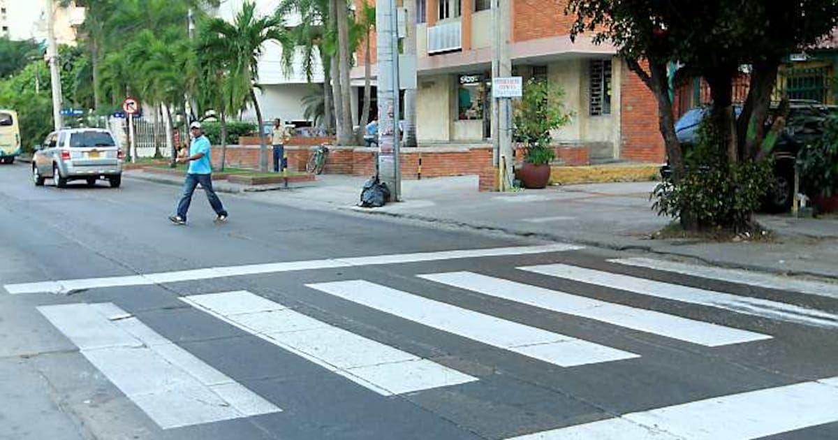 Que Significa Paso De Cebra Pasos Peatonales Y Su Importancia WITDX que-significa-paso-de-cebra-pasos-peatonales-y-su-importancia-witdx