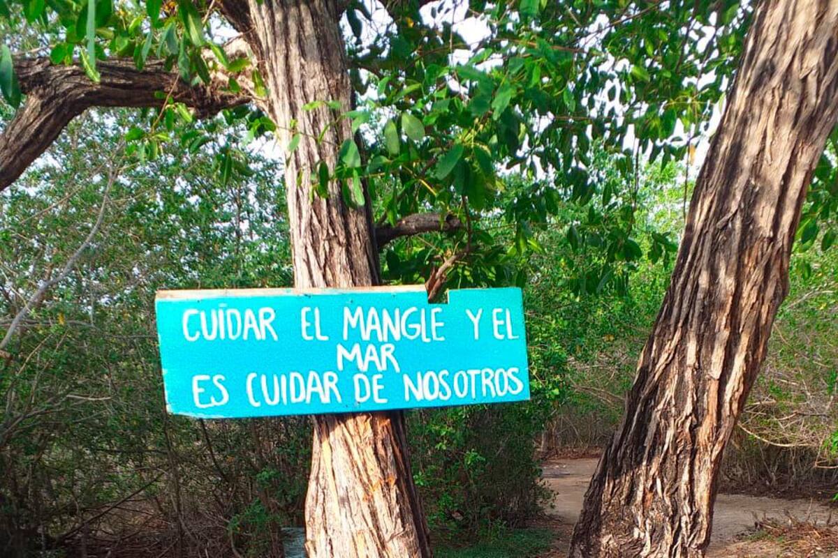 Comunidad lidera jornada de limpieza en Playa Blanca