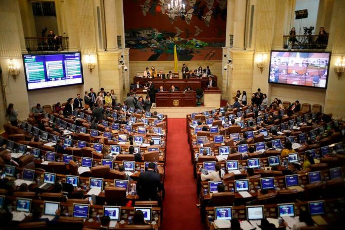 Proyecto que buscaba regular la eutanasia se hundió en el Congreso