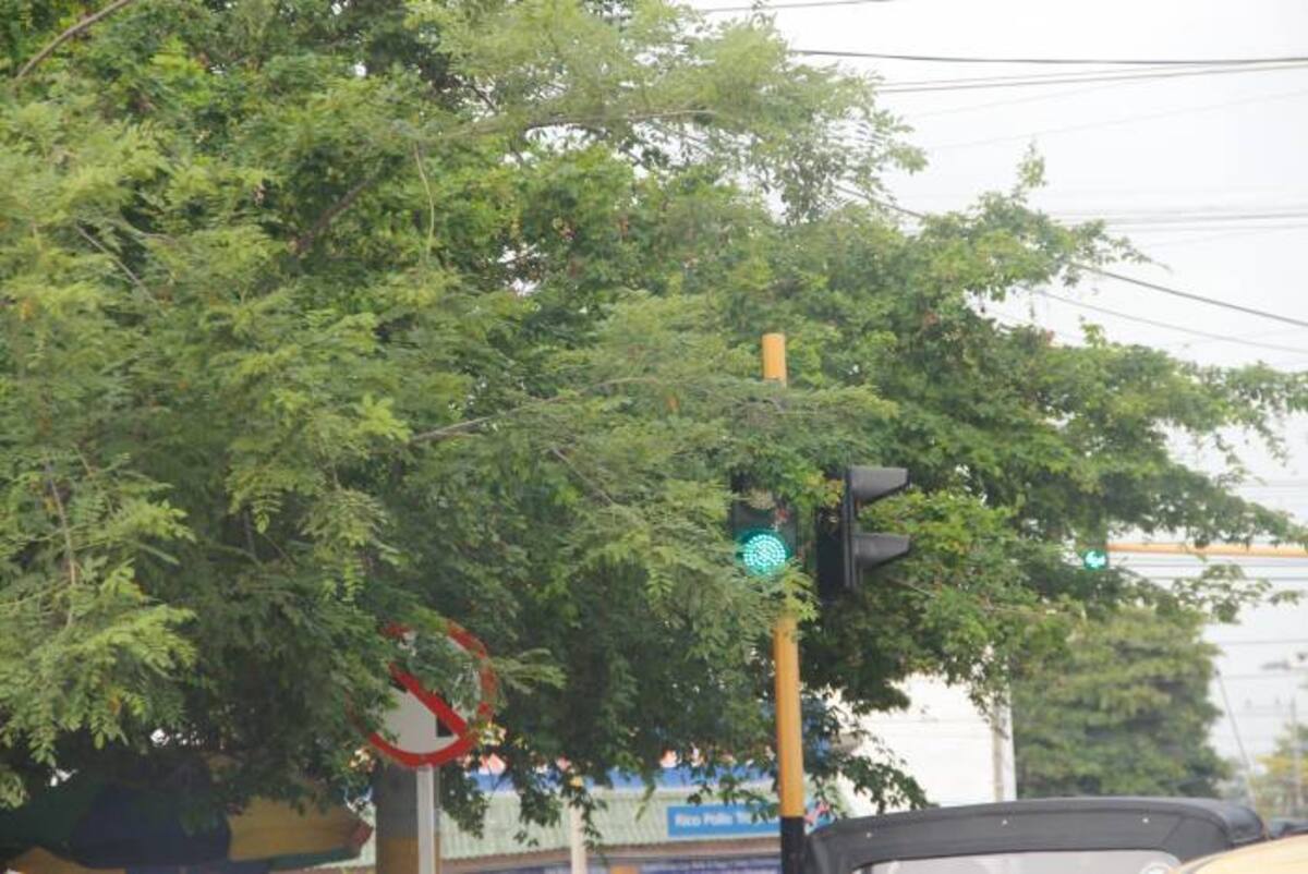 Parque de los Borrachos ALVARO CÁRCAMO OYAGA - EL UNIVERSAL