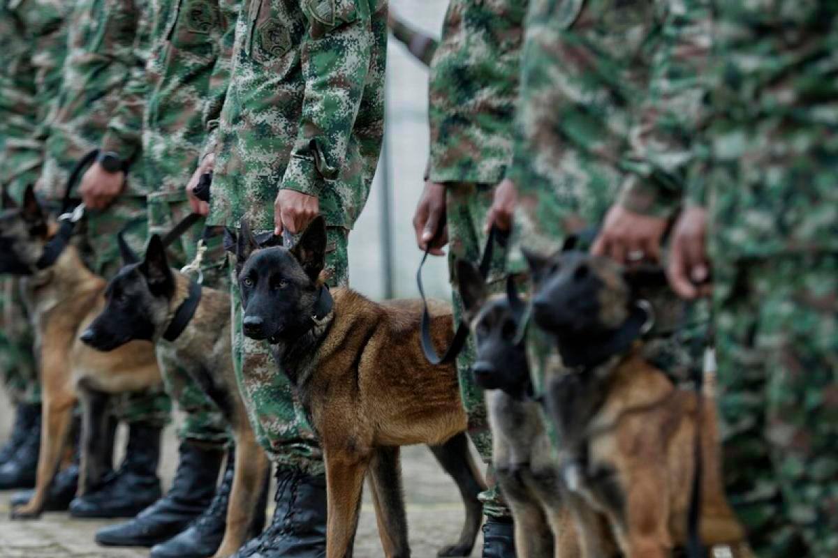 Identifican a soldados que intimidaron a campesinos en Tierralta