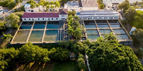 Aguas de Cartagena anuncia el fin del racionamiento: ¿se normalizará el servicio?