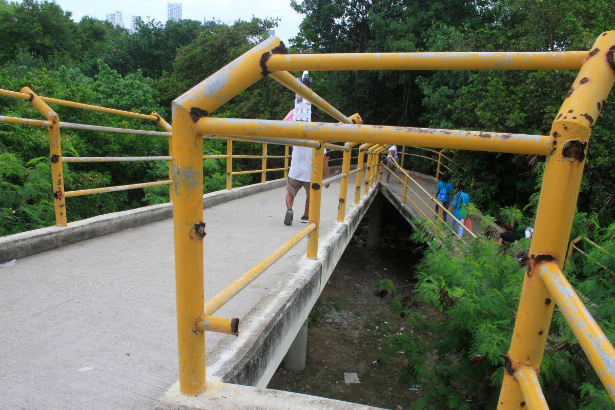 Denuncian que puente peatonal de Canapote se está cayendo